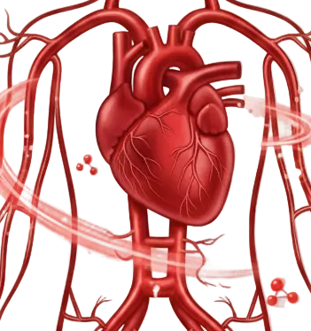 Nitric Oxide Boost