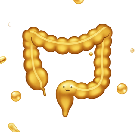 Gut Friendly
