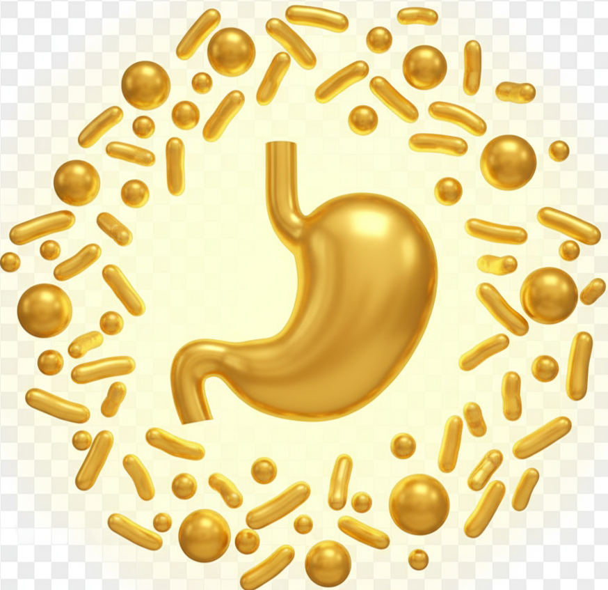 Enzymes & probiotics