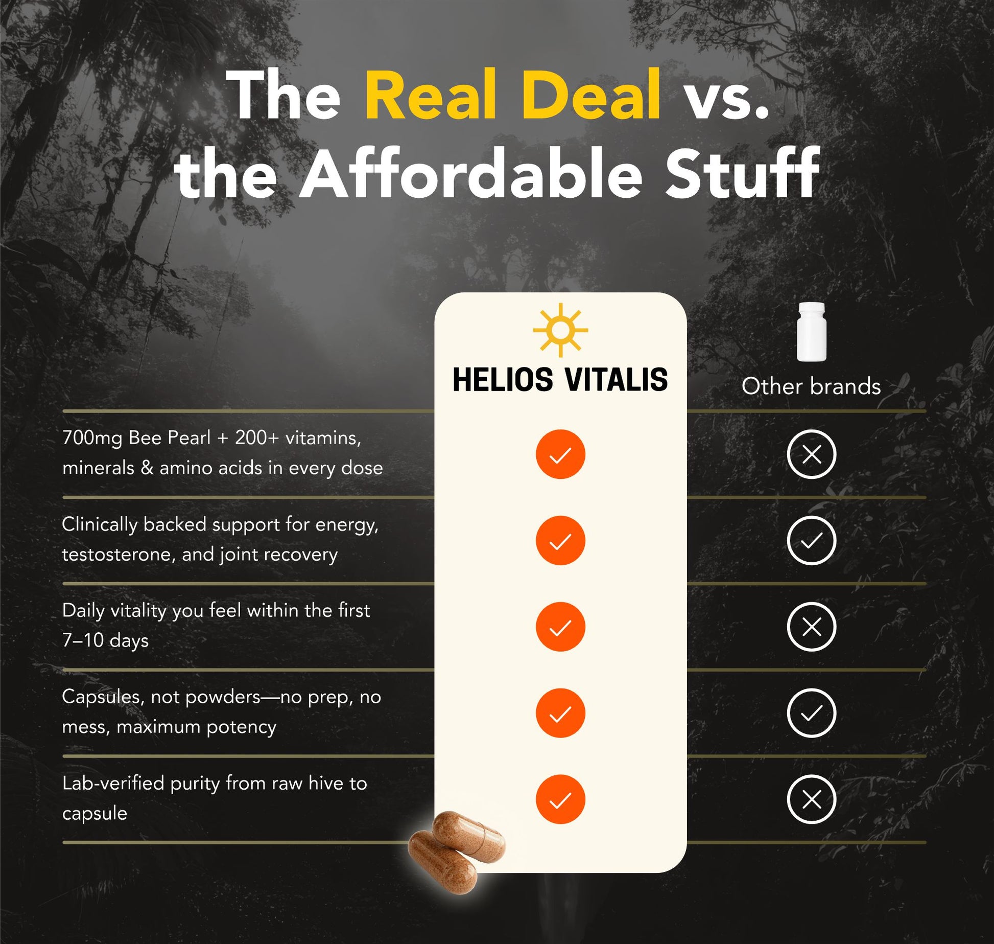 Helios Bee Pearl